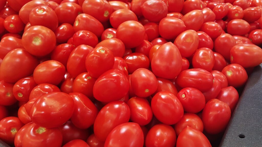 Precios mínimos de exportación para el tomate fresco en México: lo que debes saber